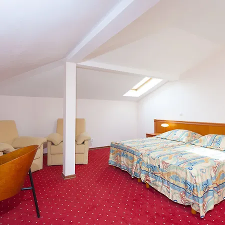 Hotell Milenij 4*