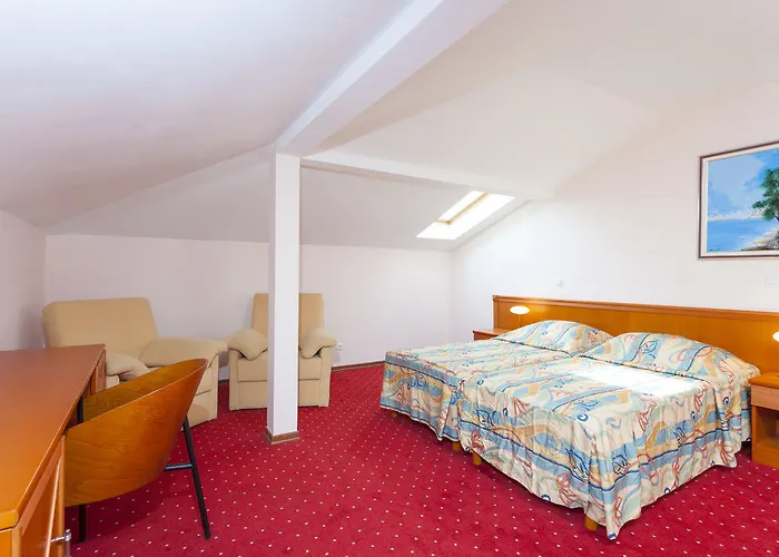 Hotell Milenij 4*